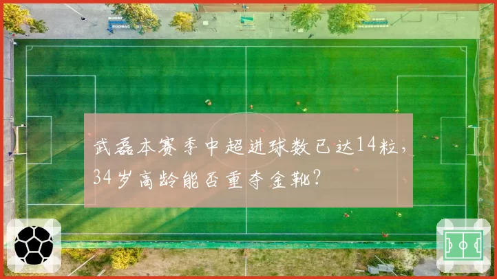 武磊本赛季中超进球数已达14粒，34岁高龄能否重夺金靴？