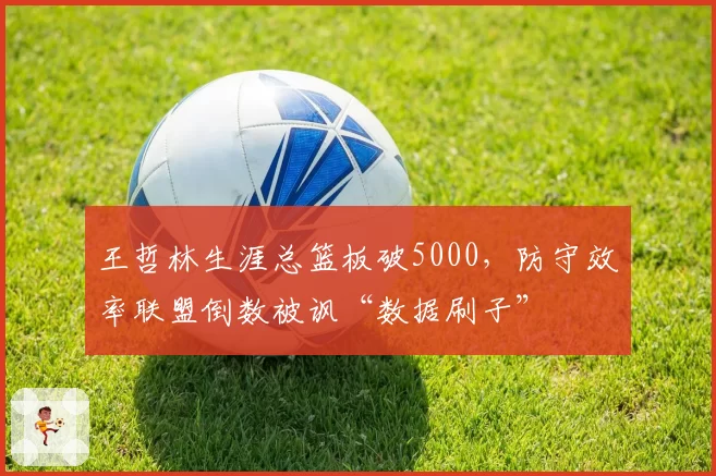 王哲林生涯总篮板破5000，防守效率联盟倒数被讽“数据刷子”