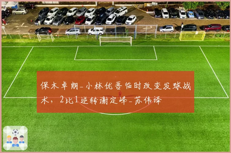 保木卓朗_小林优吾临时改变发球战术，2比1逆转谢定峰_苏伟译
